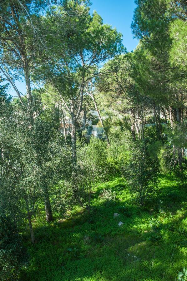 Caper Villa Santa Caterina  Bagian luar foto